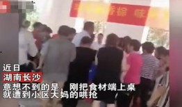 长沙爆料的视频,揭秘城市生活新动态